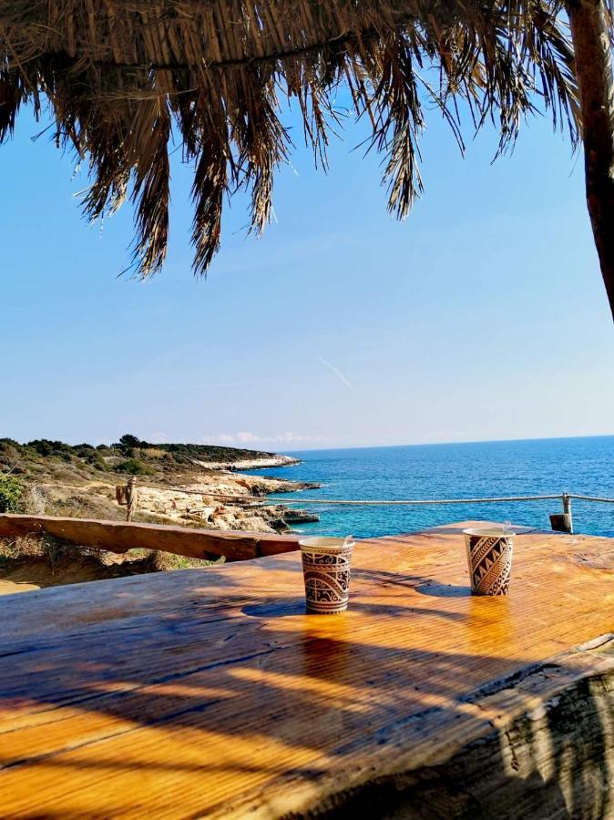 Apartment Andreas - Amphitheater - Pula Ngoại thất bức ảnh